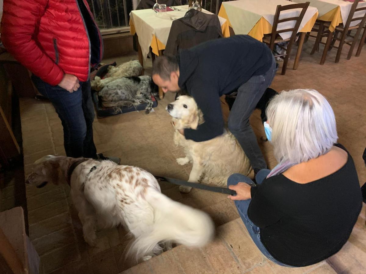 טרווי Setterhouseagrihotel מראה חיצוני תמונה