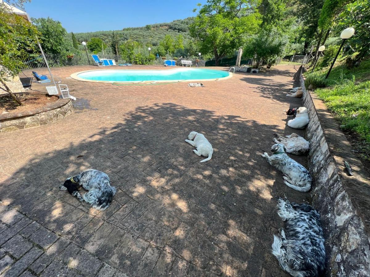 טרווי Setterhouseagrihotel מראה חיצוני תמונה