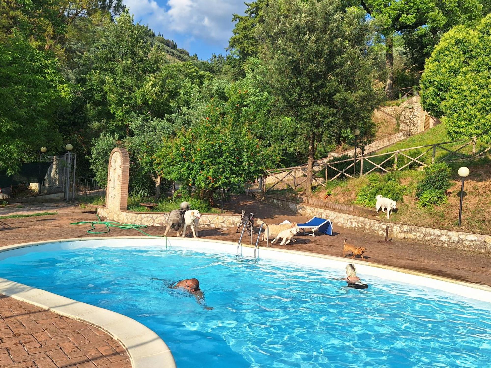 טרווי Setterhouseagrihotel מראה חיצוני תמונה