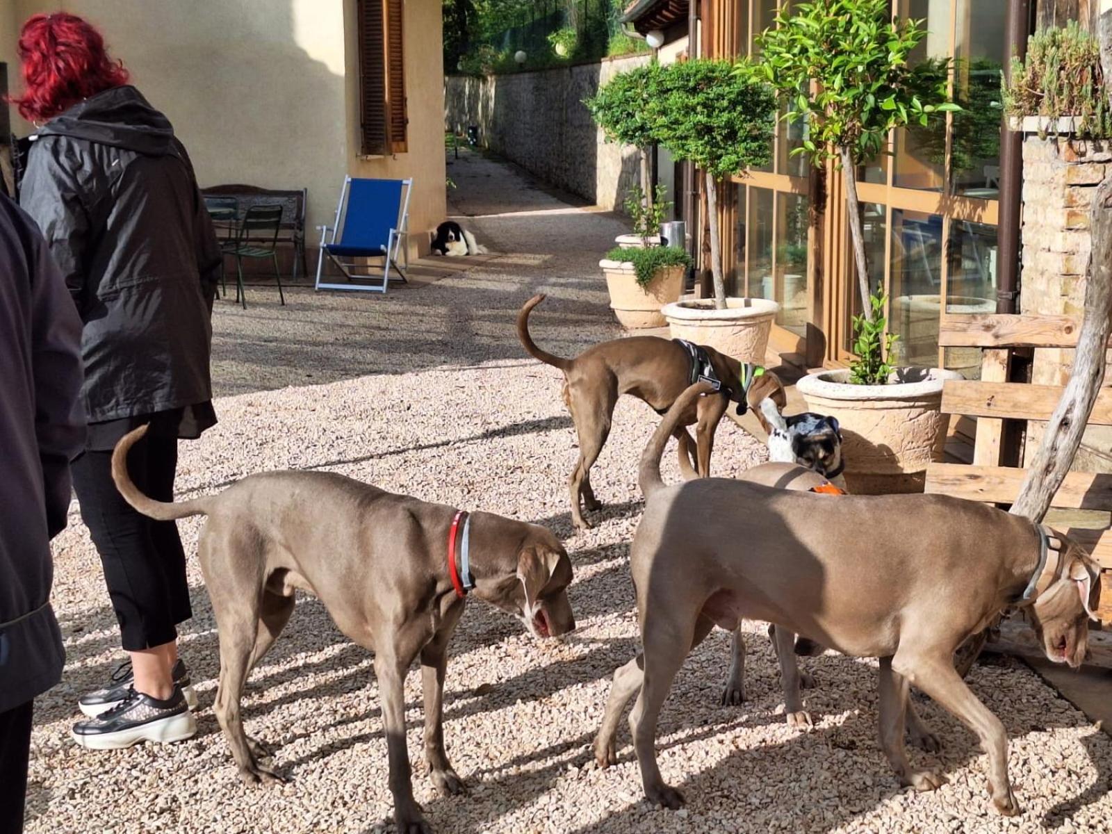 טרווי Setterhouseagrihotel מראה חיצוני תמונה