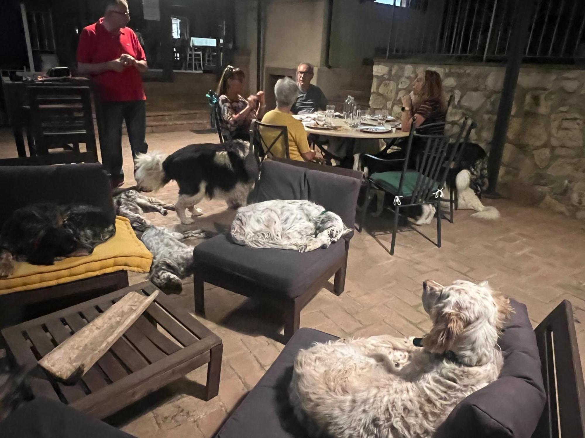 טרווי Setterhouseagrihotel מראה חיצוני תמונה