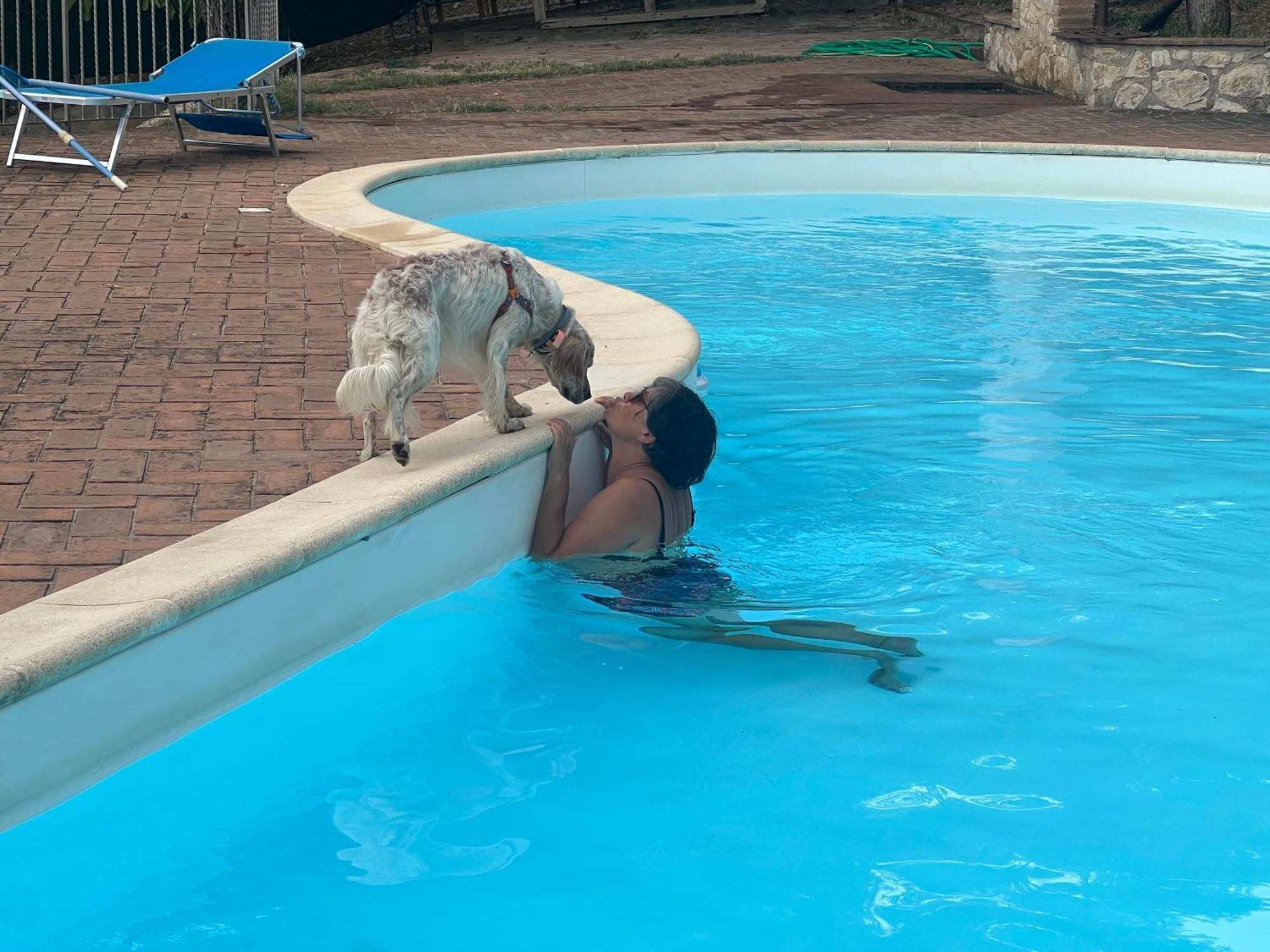 טרווי Setterhouseagrihotel מראה חיצוני תמונה