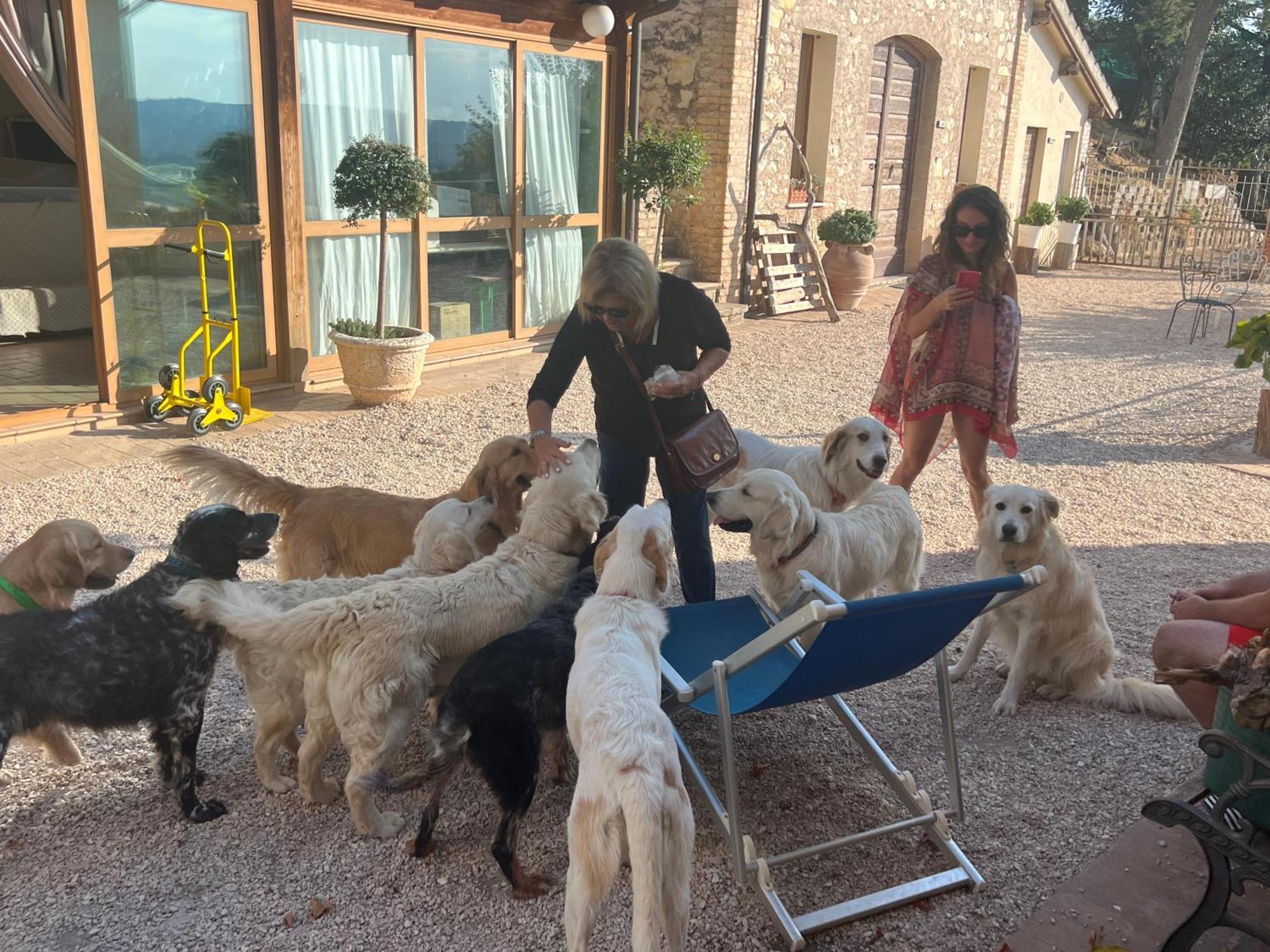 טרווי Setterhouseagrihotel מראה חיצוני תמונה