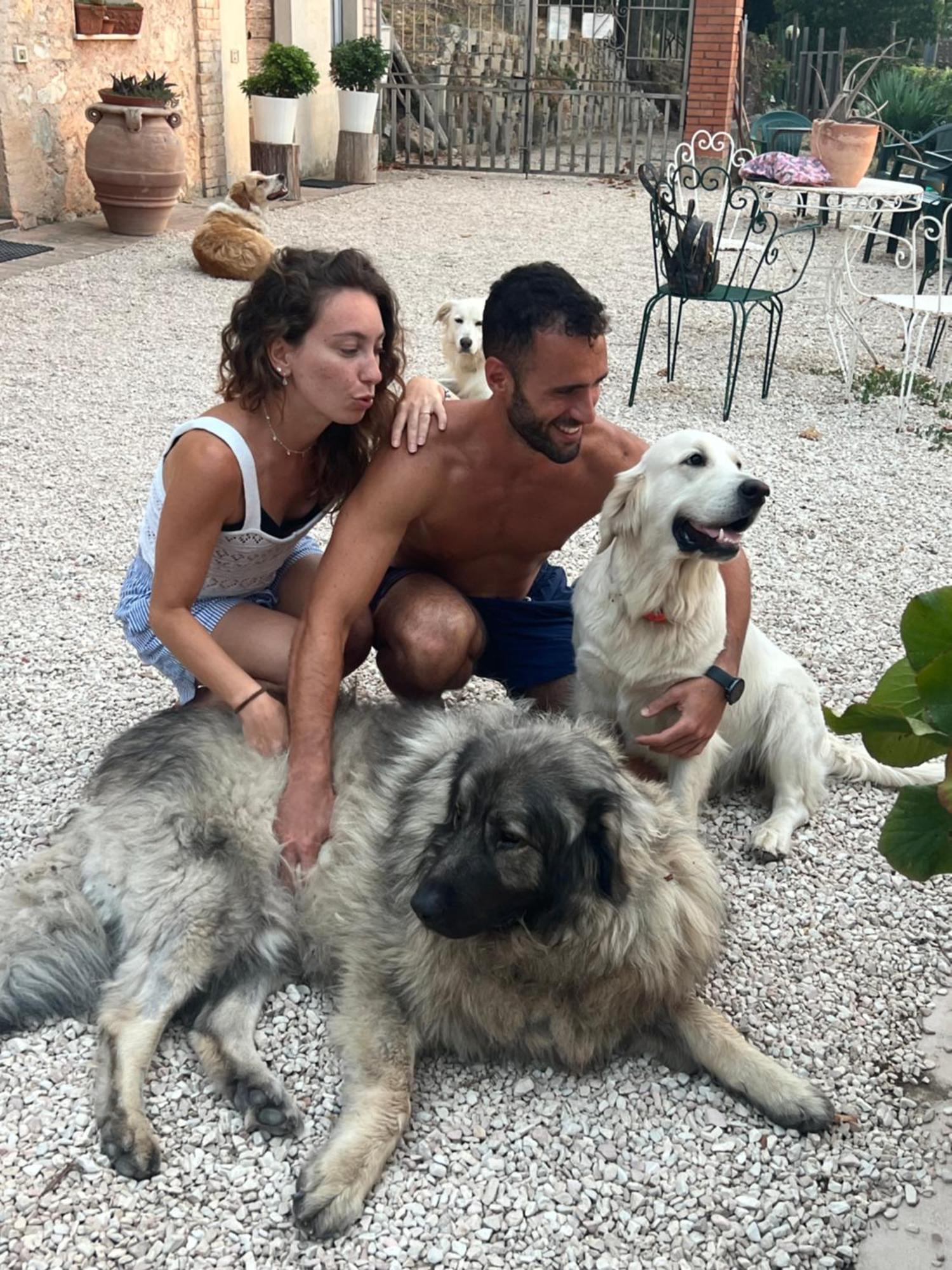 טרווי Setterhouseagrihotel מראה חיצוני תמונה