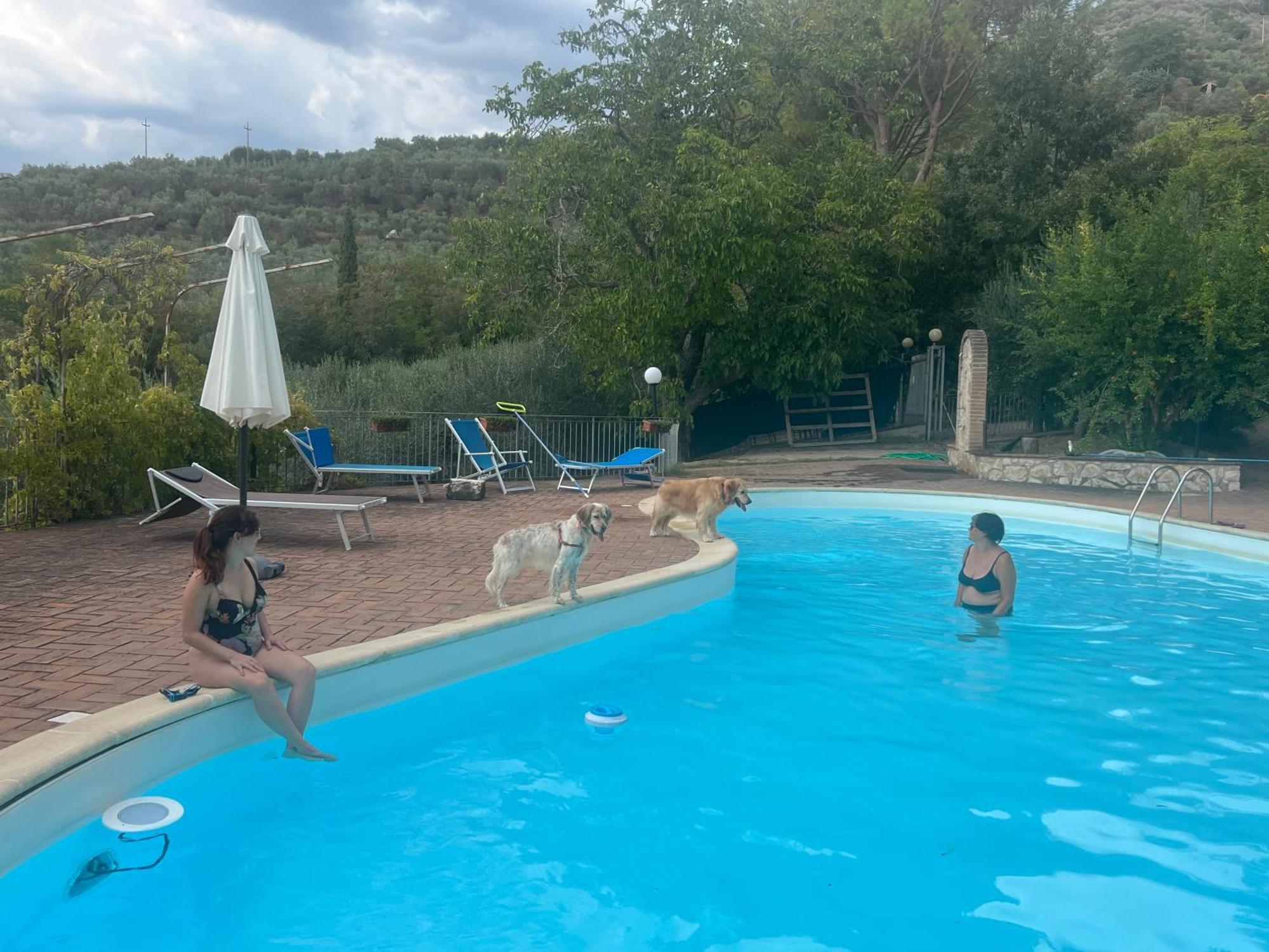 טרווי Setterhouseagrihotel מראה חיצוני תמונה